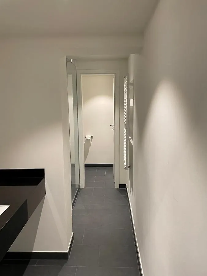 Hotel Palmbraeu Altstadt Appartments Heidelberg