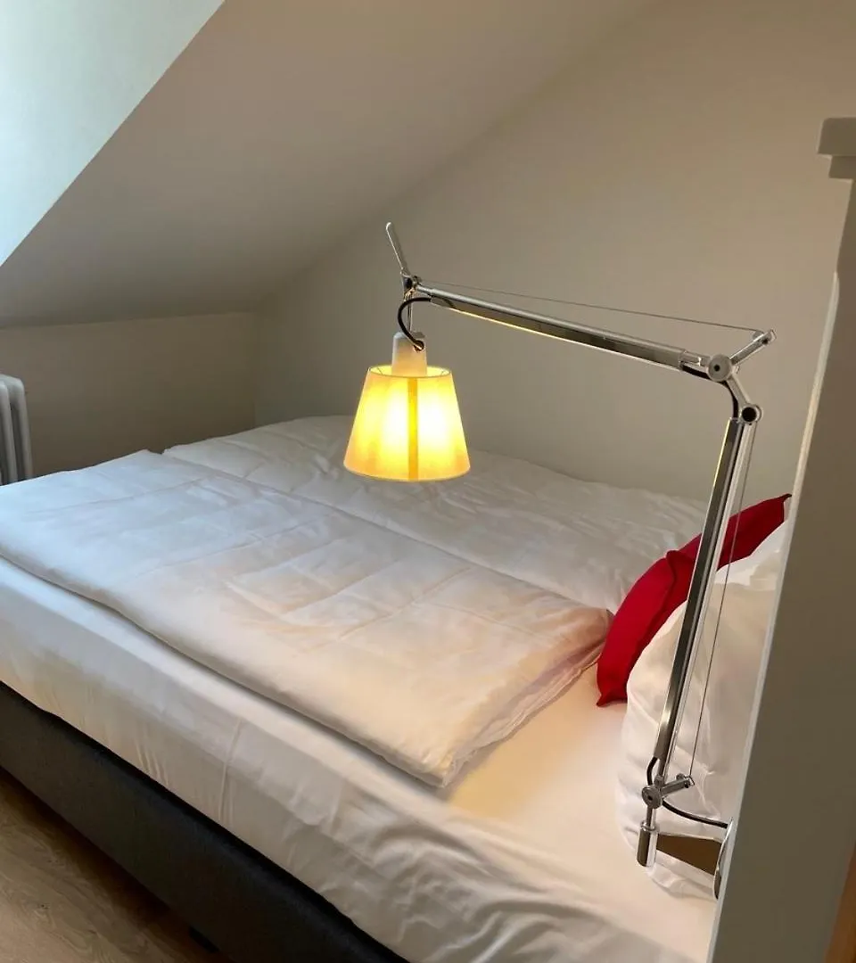 Hotel Palmbraeu Altstadt Appartments Heidelberg